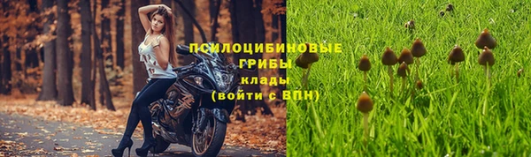 марихуана Инта