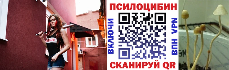 Псилоцибиновые грибы ЛСД  купить   Исилькуль 